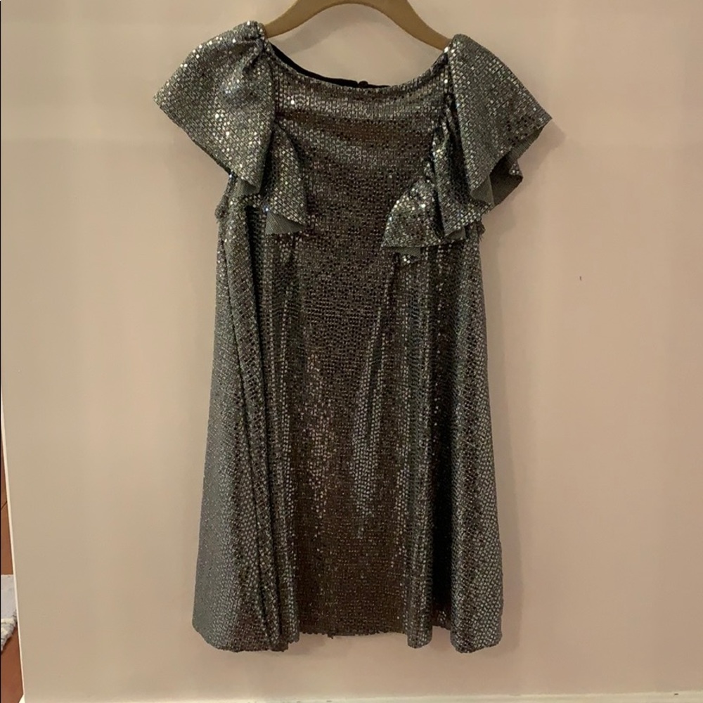 COPY - Zara Silver Sequence dress
